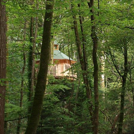 Les Cabanes De Kermenguy Cléder 객실 사진
