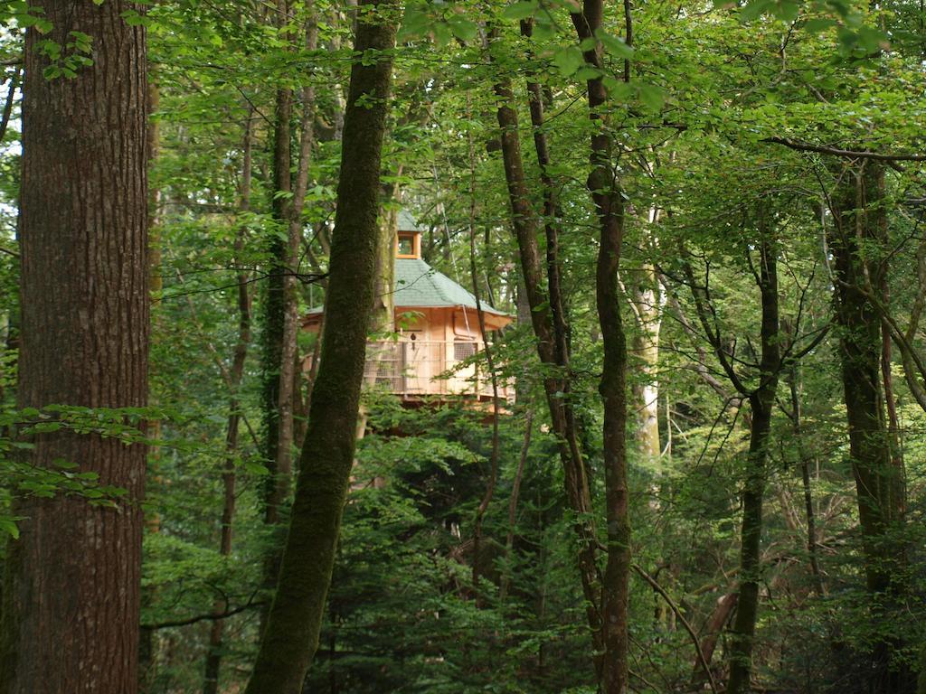 Les Cabanes De Kermenguy Cléder 객실 사진