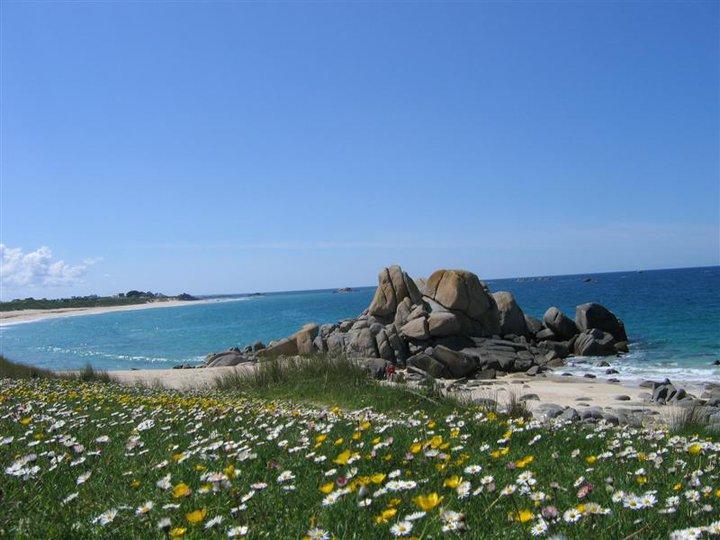 Les Cabanes De Kermenguy Cléder 외부 사진